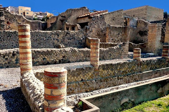 Skip-the-Line Herculaneum Tour from Sorrento - Price and value: is $72.14 worth it?
