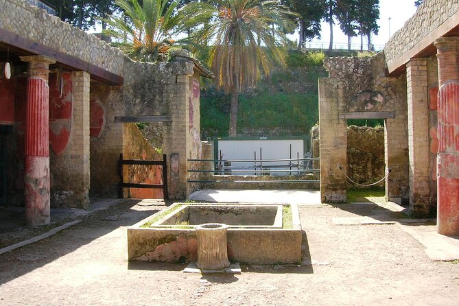 Skip the line Ticket Herculaneum Guided Tour 4 hrs - The “House of the Hotel” and other quick hits that still feel meaningful