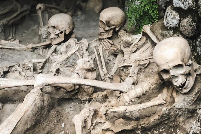 Skip the line Ticket Herculaneum Guided Tour 4 hrs - From your pickup to the first look at Pompeii’s quieter cousin