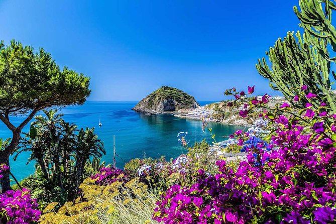Small Group Ischia and Procida Boat Day Tour from Sorrento - The 8:15am Start, and How the Transfer Actually Feels