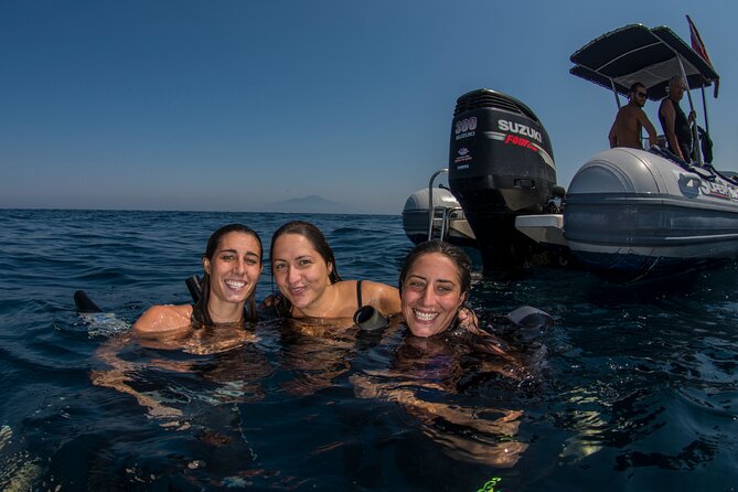 Snorkeling with Marine Biologist Expert from Sorrento - Meeting at Via Marina Grande and Getting Suited Up Fast