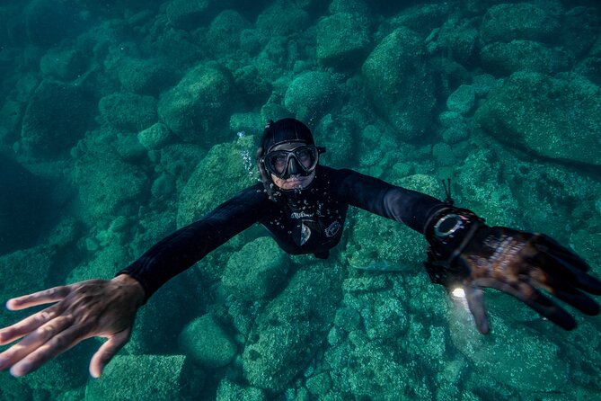 Snorkeling with Marine Biologist Expert from Sorrento - Inside the Marine Reserve: Limestone Caves, Sponges, and Madrepores