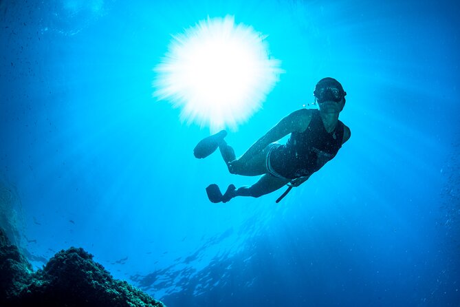 Snorkeling with Marine Biologist Expert from Sorrento - Weather, Currents, and Jellyfish: How the Day Can Shift