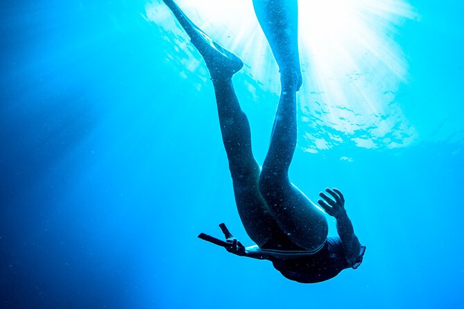 Snorkeling with Marine Biologist Expert from Sorrento - Price and Value at $115.24 for a 4-Hour Marine Biology Snorkel
