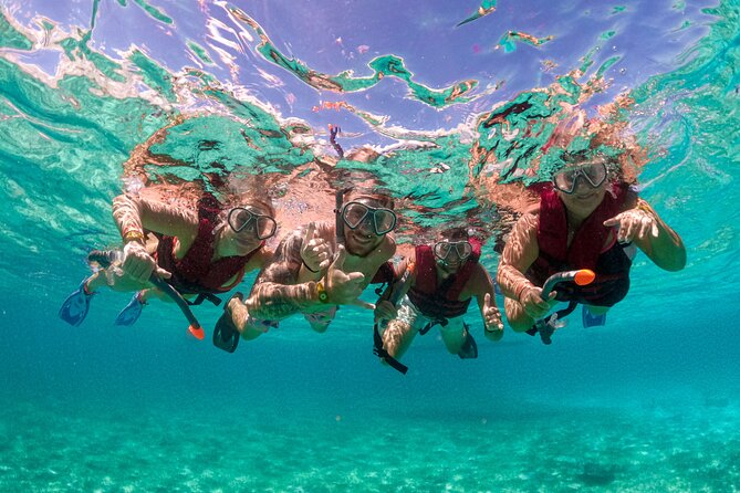 Snorkelling Experience - Key highlights you will care about