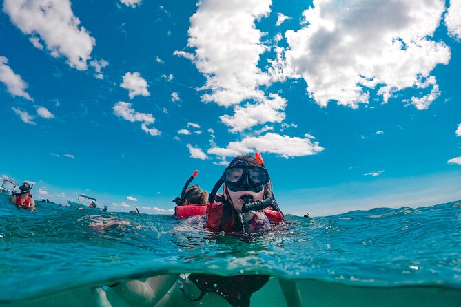 Snorkelling Experience - Punta Campanella Marine Protected Area, and why it matters