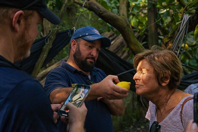 Sorrento Ape Tour, Lemon Garden, Mozzarella Show & Pizza Class - Key Things to Notice Before You Go