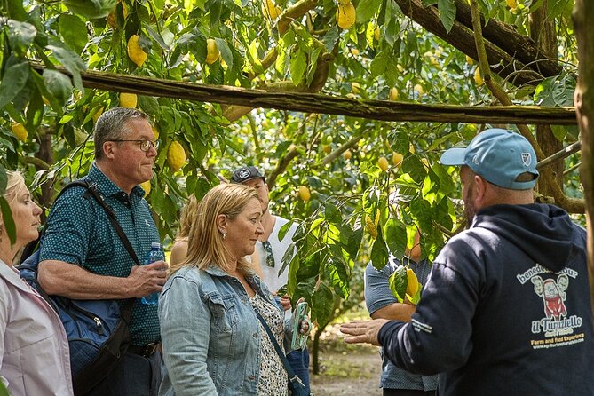 Sorrento Ape Tour, Lemon Garden, Mozzarella Show & Pizza Class - FAQ