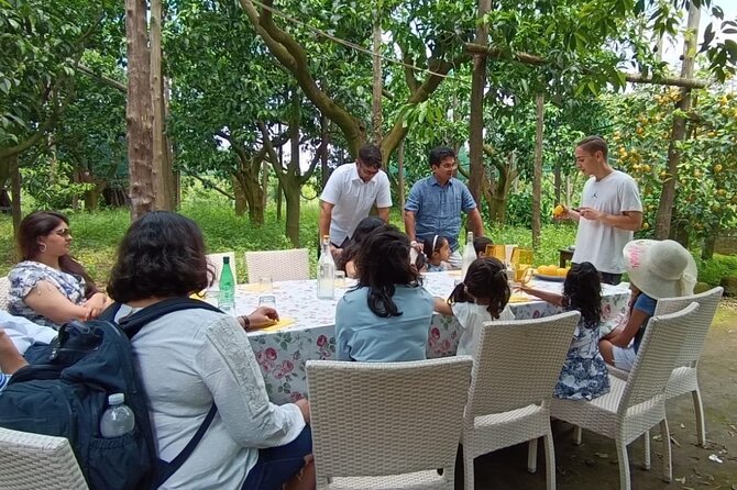 Sorrento: Authentic Lemon Experience at a Farm with Tastings - Homecrafted Marmalade and Limoncello Tastings That Actually Make Sense
