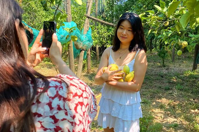 Sorrento: Authentic Lemon Experience at a Farm with Tastings - Price and Value: Is $77.44 Worth It?