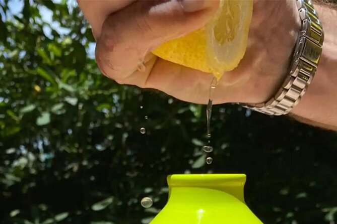 Sorrento: Authentic Lemon Experience at a Farm with Tastings - Should You Book This Sorrento Lemon Experience?