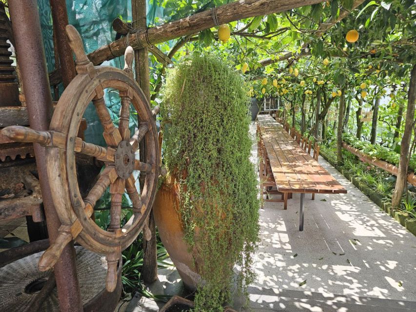 Sorrento Coast: E-Bike & Cooking Experience - The Sorrento Peninsula by e-bike, with real sea views