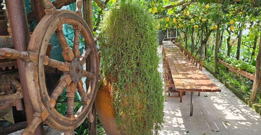 Sorrento Coast: E-Bike & Cooking Experience - From Sorrento to Massa Lubrense: winding roads and green coastlines