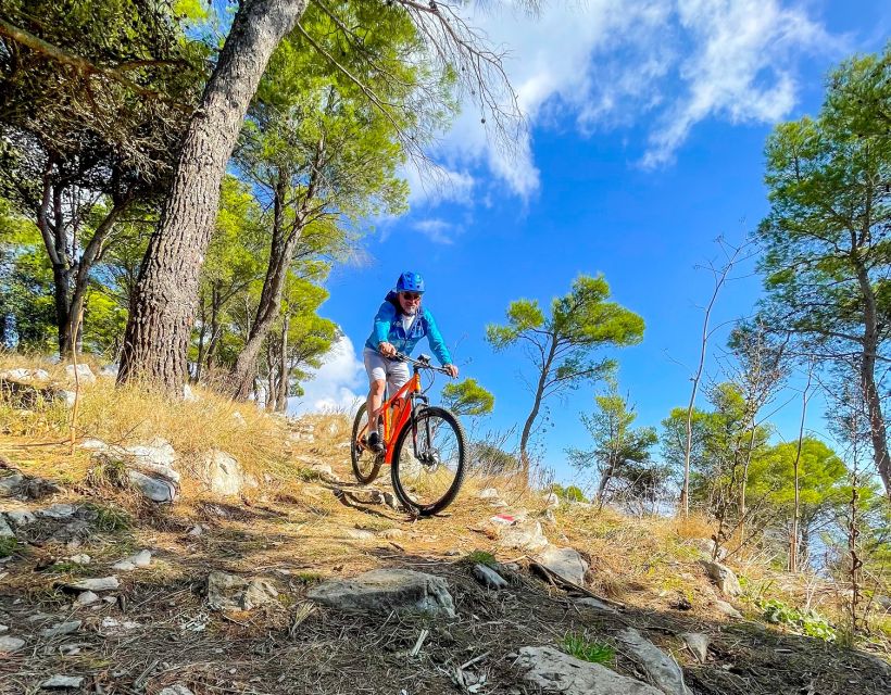 Sorrento Coast E-bike Fun Tour Experience - Cycling the Sorrento Peninsula: lemons, olive trees, and sea-breeze speed