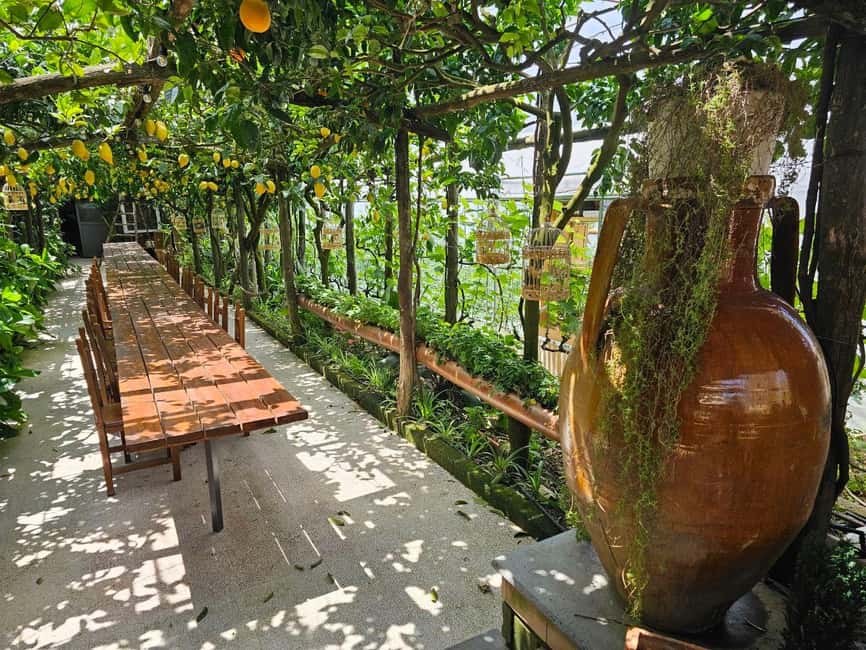 Sorrento Coast E-Bike Tour and Visit at Vinegar Cellar - Key highlights you will care about