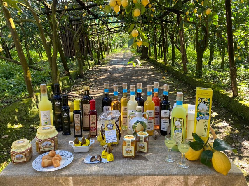 Sorrento: Coast E-Bike Tour with Limoncello Tasting - The ride: quiet backroads, olive trees, and real road traffic