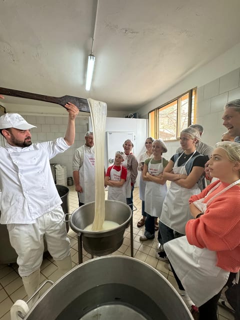 Sorrento Coast Mozzarella Tasting & Cheese Making Experience - A hands-on mozzarella lesson on the Sorrento Coast
