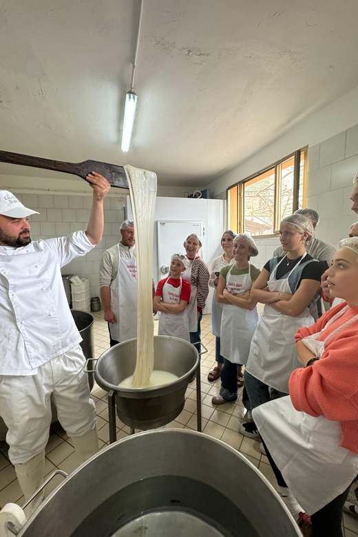 Sorrento Coast Mozzarella Tasting & Cheese Making Experience - The cheeses you will make: Fiordilatte, Caciocavallo, Provolone