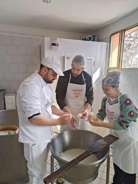 Sorrento Coast Mozzarella Tasting & Cheese Making Experience - Accessibility and comfort details that actually help