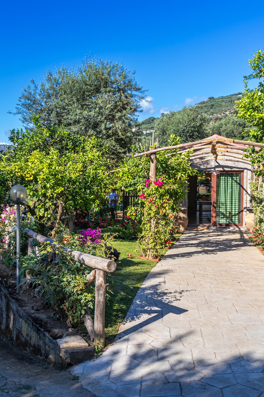 Sorrento Cooking Class: Taste the Tradition feel the Love - Key highlights to know before you go