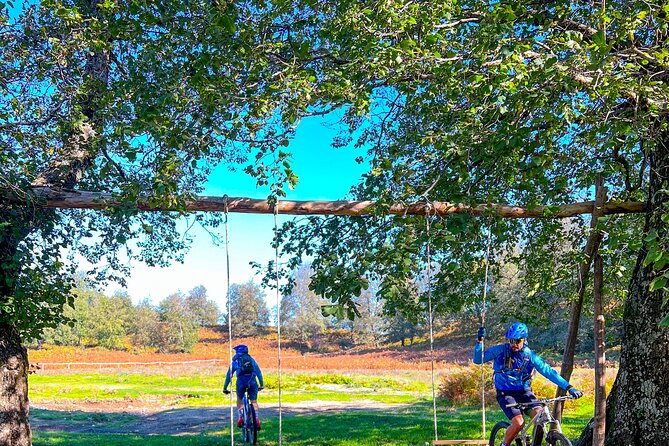 Sorrento e-bike adventure: olive oil and lemon tasting - Getting your bearings in Sorrento, then heading toward the hills