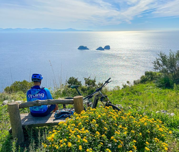 Sorrento: E-bike Oil & Lemon Tour with Tasting - Key things to know before you go