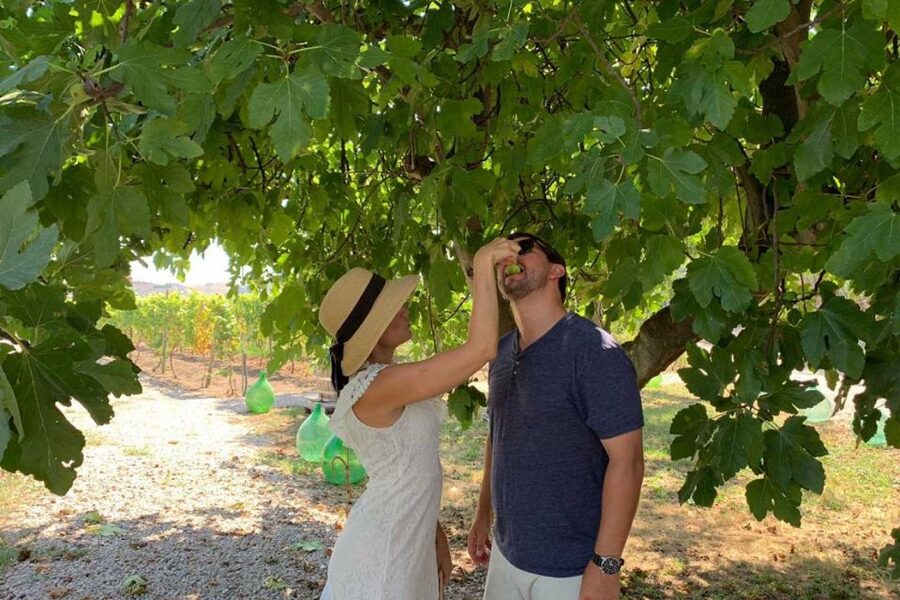 Sorrento: Family Farm Experience with Lunch - From Sorrento to the countryside: why the ride matters