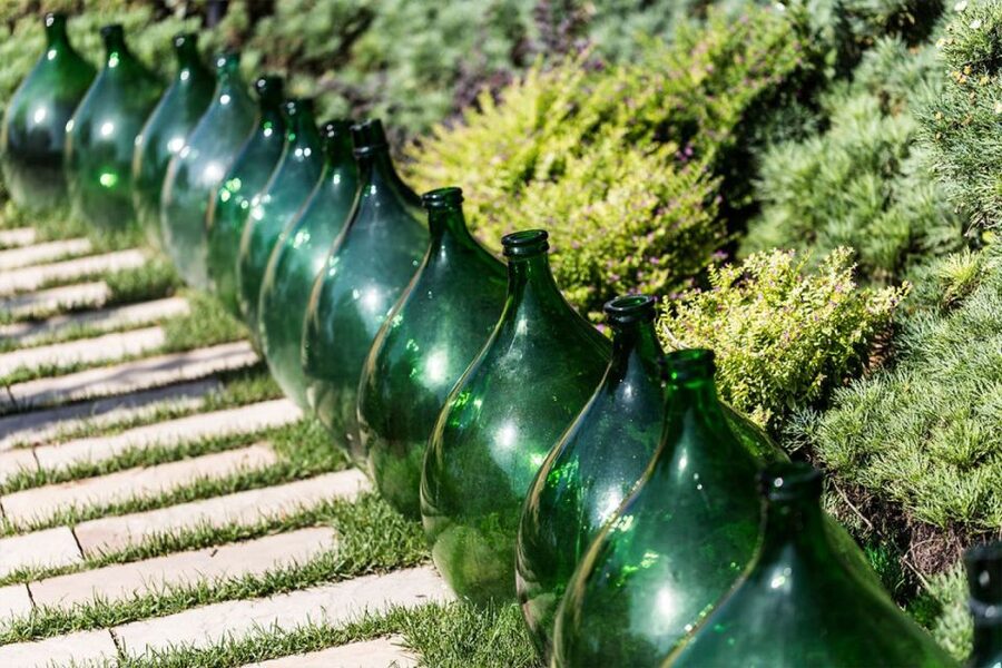 Sorrento: Family Farm Experience with Lunch - The farm walk: lemons, olives, and vines in one route
