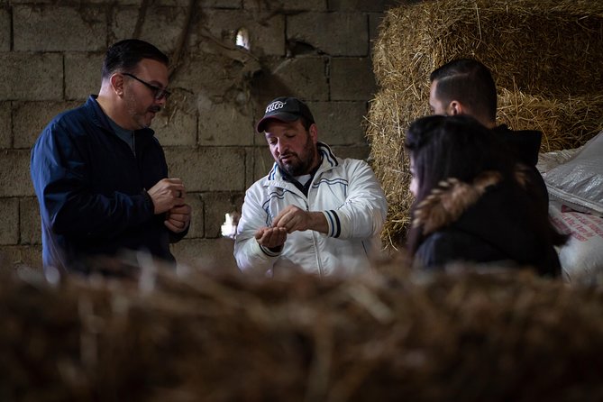Sorrento Farm by Tuk Tuk: Cheese, Limoncello & Hands-On Pizza - Lunch rhythm: how the tastings set you up for the pizza