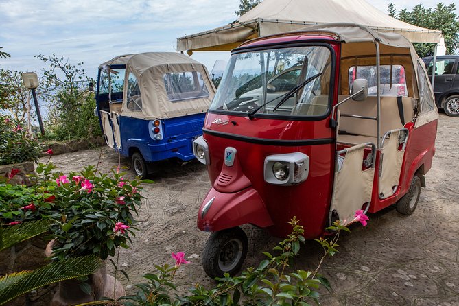 Sorrento Farm by Tuk Tuk: Cheese, Limoncello & Hands-On Pizza - Limoncello finale: family recipe secrets and a sweet close