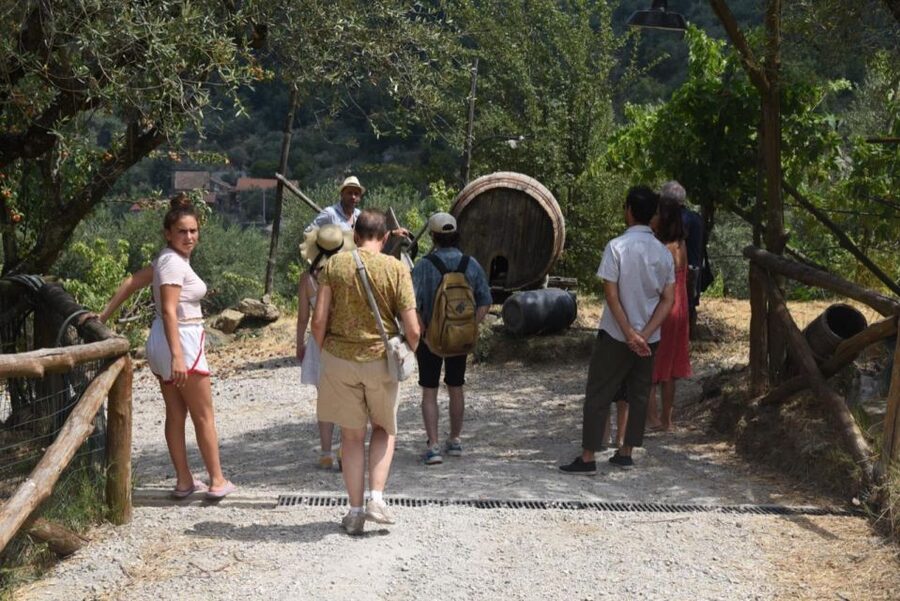 Sorrento Farm Experience: Pizza, Cheese, Wine & More - Sorrento Farm Day Plan: cheese, citrus, and a real Neapolitan pizza