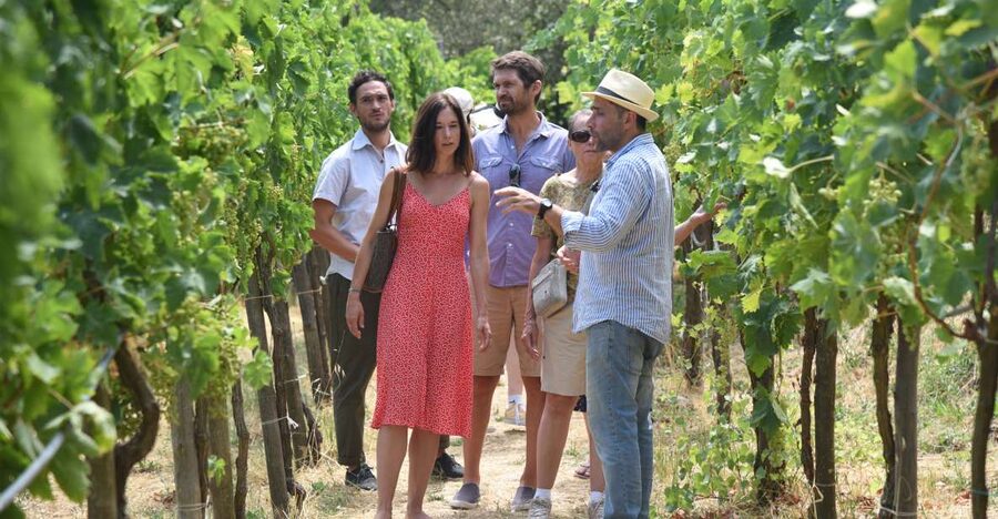 Sorrento: Farm Tour with Cheese Tasting & Pizza Making Class - Key takeaways before you go