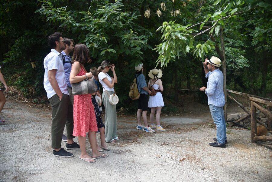 Sorrento: Farm Tour with Cheese Tasting & Pizza Making Class - Price and value: why this feels like more than a cooking class