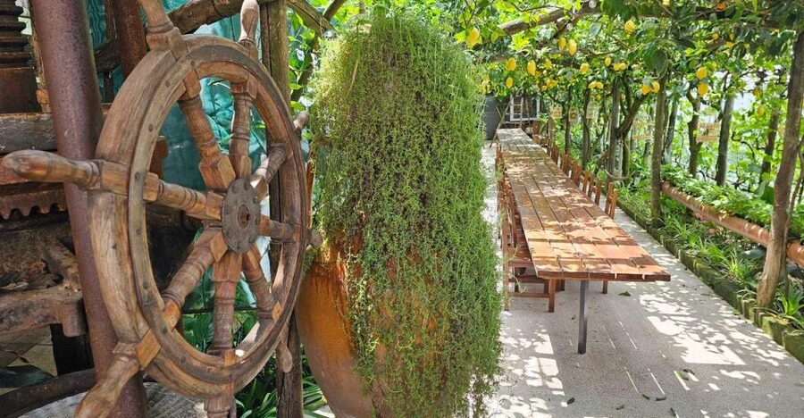 Sorrento: Food Tour by E-Bike and Visit at Vinegar Cellar - Why this Sorrento e-bike food tour feels different