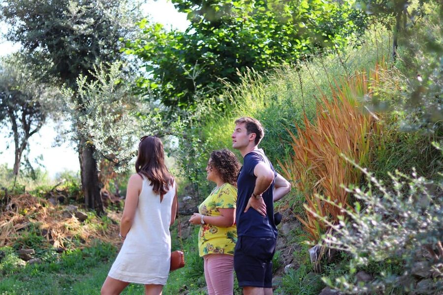 Sorrento: Guided Olive Mill Visit with Tastings - Optional wine add-on and what it means for your plan