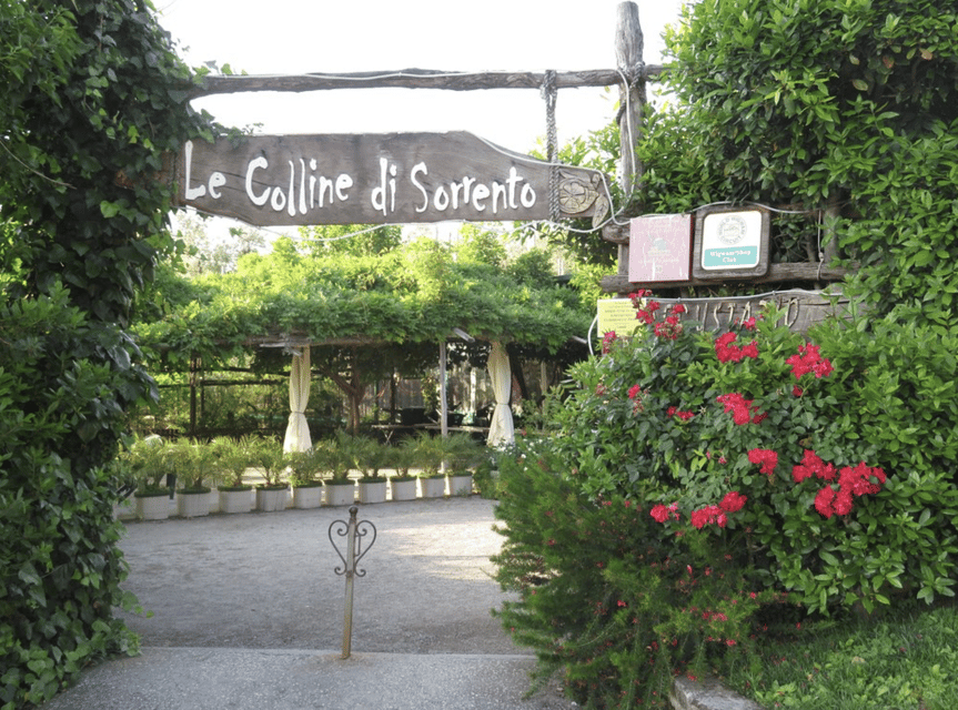 Sorrento: Lemon Garden Guided Tour with Tastings - Key takeaways before you go