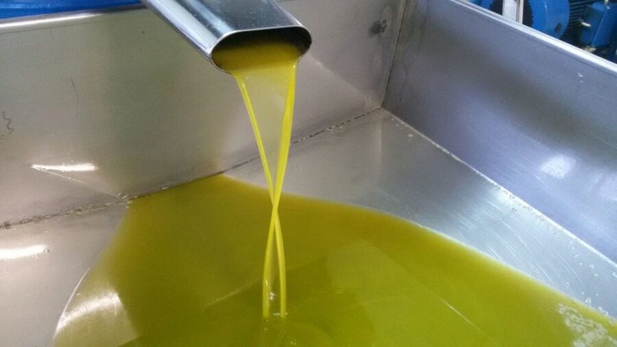 Sorrento: Lemon, Olive Oil and Wine Tasting Tour with Lunch - Getting from Sorrento to La Masseria Farm