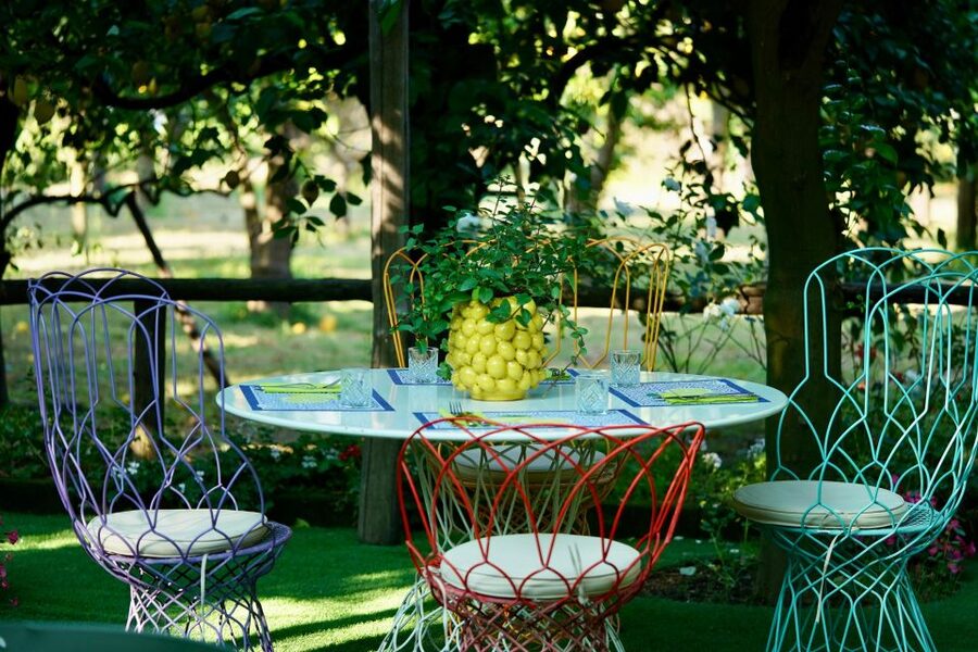 Sorrento Lemon Tour - The lemon grove visit: what the guide shows you