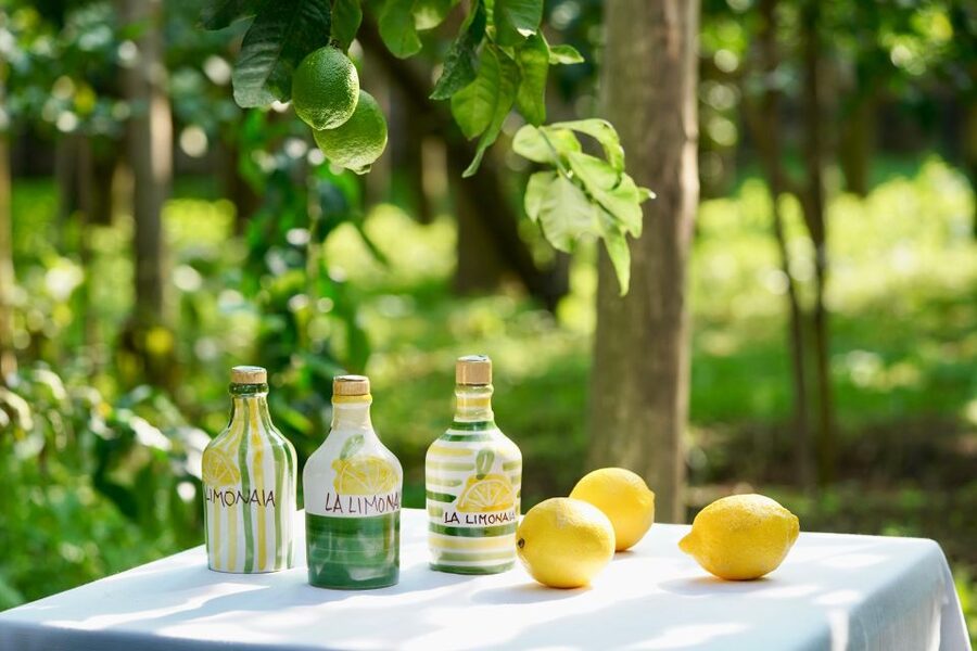 Sorrento Lemon Tour - Tips to get the most out of your time at La Limonaia