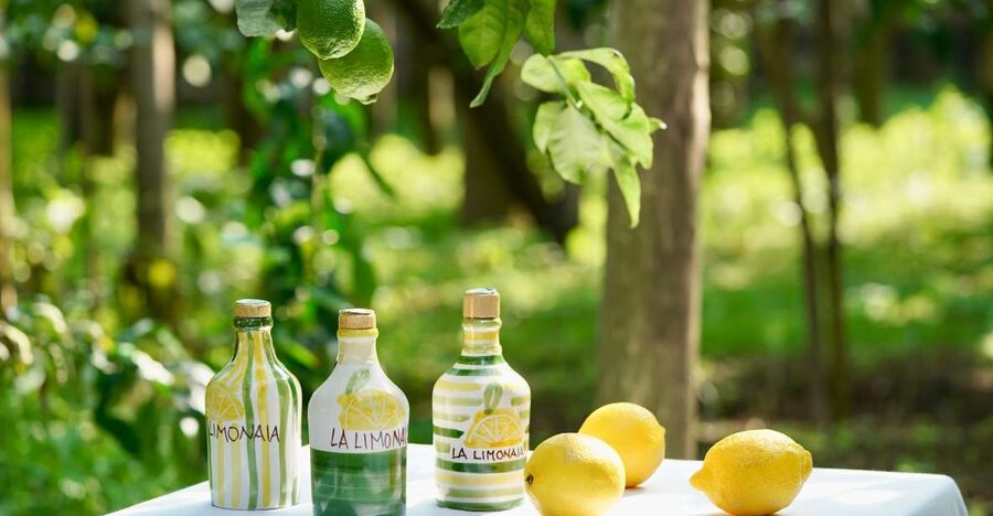 Sorrento Lemon Tour - Arriving at La Limonaia, and getting your bearings fast