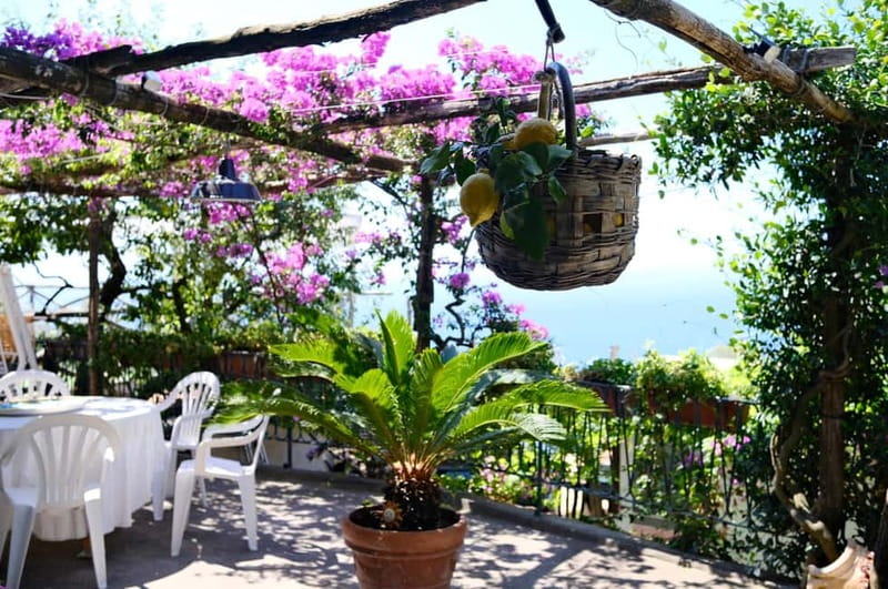 Sorrento: Marì Cooking Class in a Family Farm w/ Coast View - Getting Up to Massa Lubrense: Ride, Views, and a Different Side of the Coast