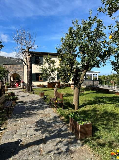 Sorrento: Mozzarella experience. Say CHEESE with us! - Who this tour suits best, and who should skip it