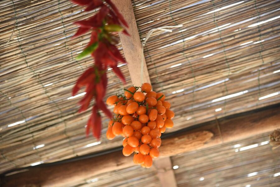 Sorrento: Pizza Lesson, Wine, and Limoncello at a Local Farm - Should You Book Primaluce Pizza, Wine, and Limoncello?