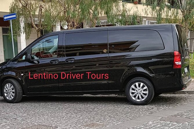 Sorrento Pompeii and Winery Tour - Comfort, pacing, and who this day trip suits best