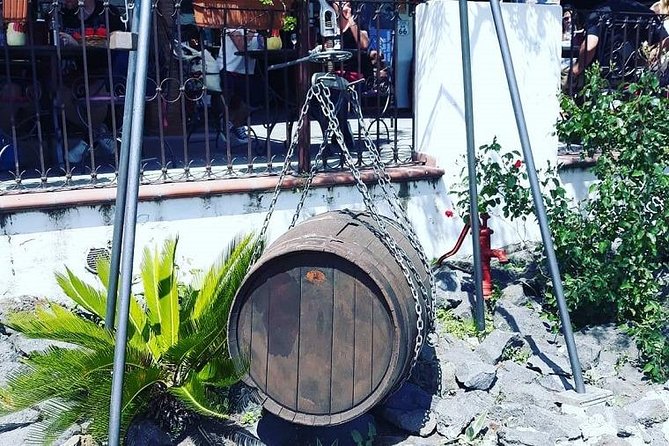 Sorrento Pompeii and Winery Tour - Should you book this Sorrento Pompeii and winery tour?