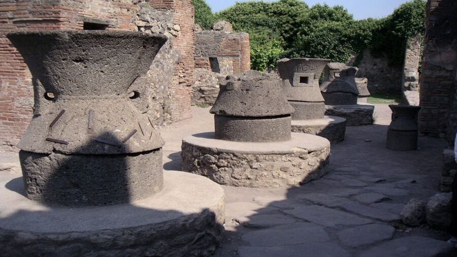 Sorrento: Pompeii & Herculaneum Tour with Skip-the-Line - Meeting point and how the day is paced