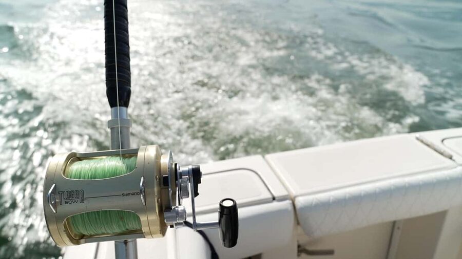 SORRENTO : PRIVATE EXCLUSIVE FISHING EXPERIENCE - Catch and release policy: good for conservation, important for expectations