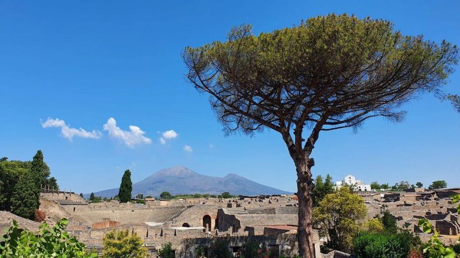 Sorrento: Skip-the-Line Pompeii Express Tour by Train - Who should book this Pompeii Express by train