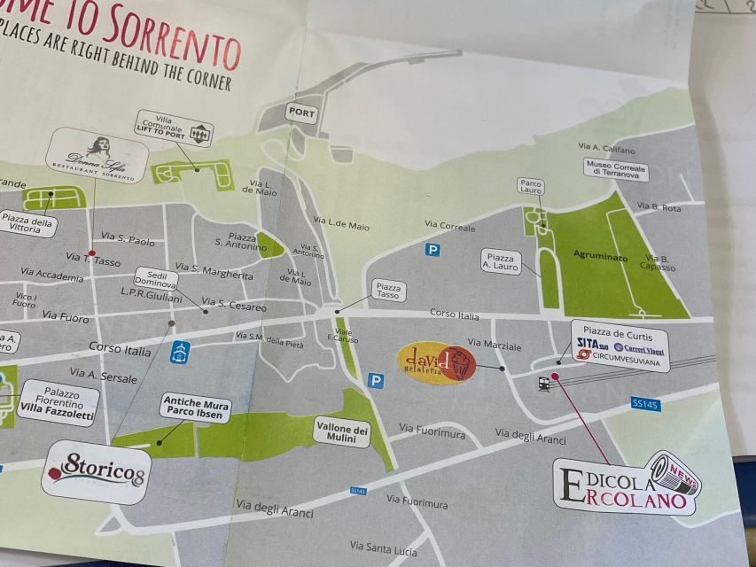 Sorrento: Skip-the-Line Pompeii Express Tour by Train - The train ride: 45 minutes each way and what to expect