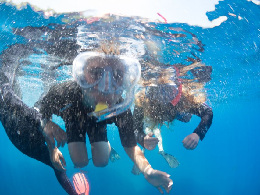 Sorrento: Snorkeling morning tour with a Marine Biologist. - What Makes This Sorrento Snorkeling Tour Different